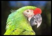 Posouvac� puzzle
